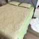Стьоганое покривало кремового цвета с салатовыми краями 210х230 с двумя наволочками 50х70 АСОРТИМЕНТ (M9-13-4) фото 5